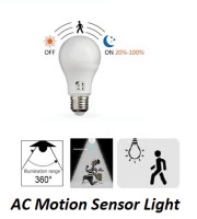 Motion Sensor Bulb
